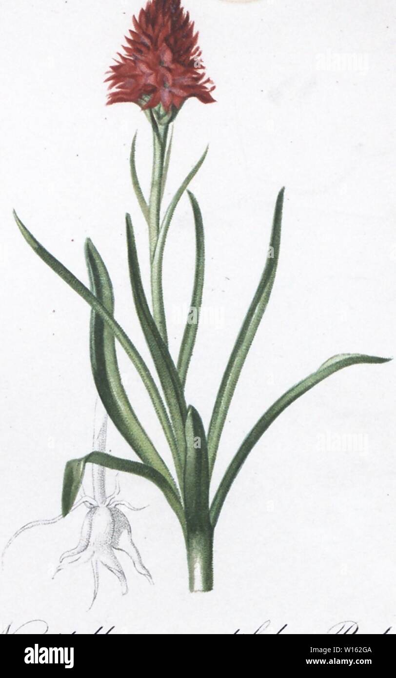 O j sy hi-res stock photography and images - Alamy