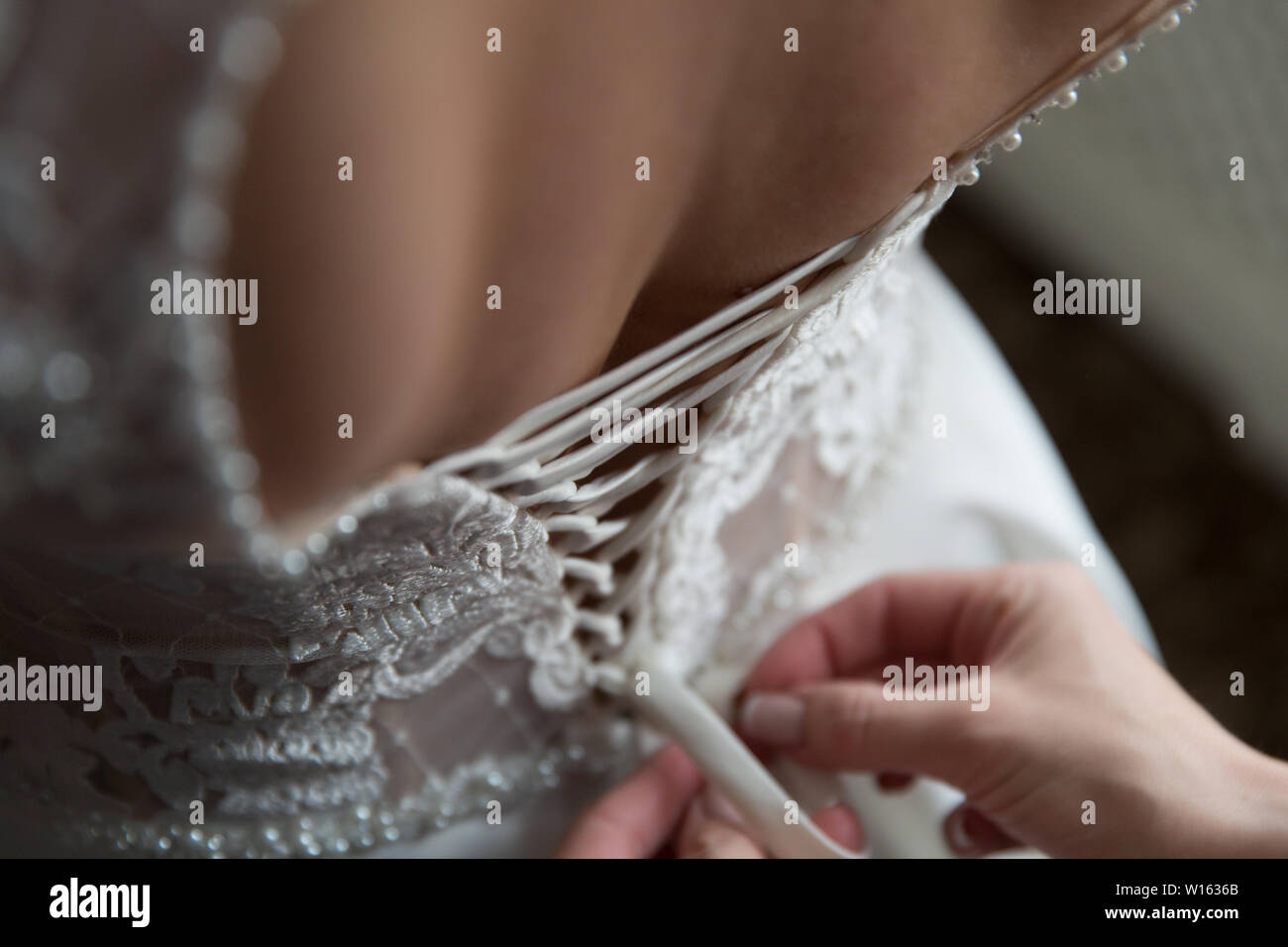Bride from the back. Lacing the wedding dress Stock Photo - Alamy