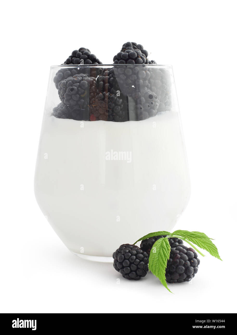 Yogurt and fresh berries blackberry studio isolated on white background Stock Photo
