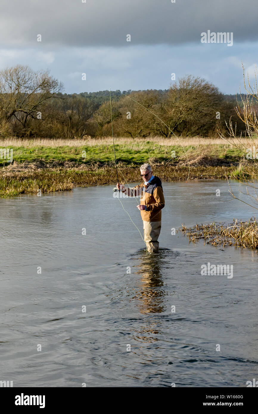 Angler fly-fishing for trout and grayling, wading in shallow river Stock Photo