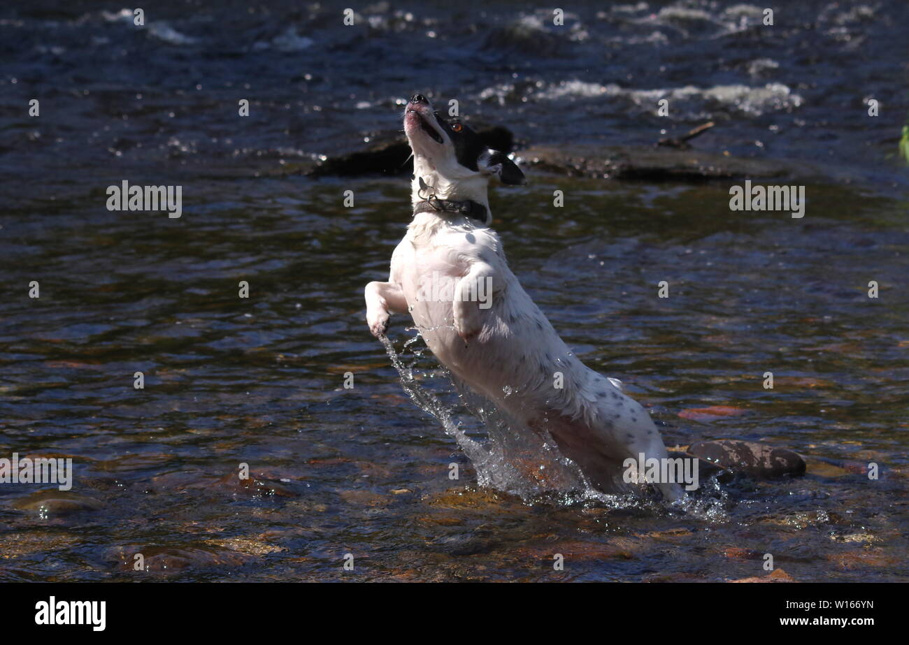 Toy jumping jack toys hi-res stock photography and images - Alamy