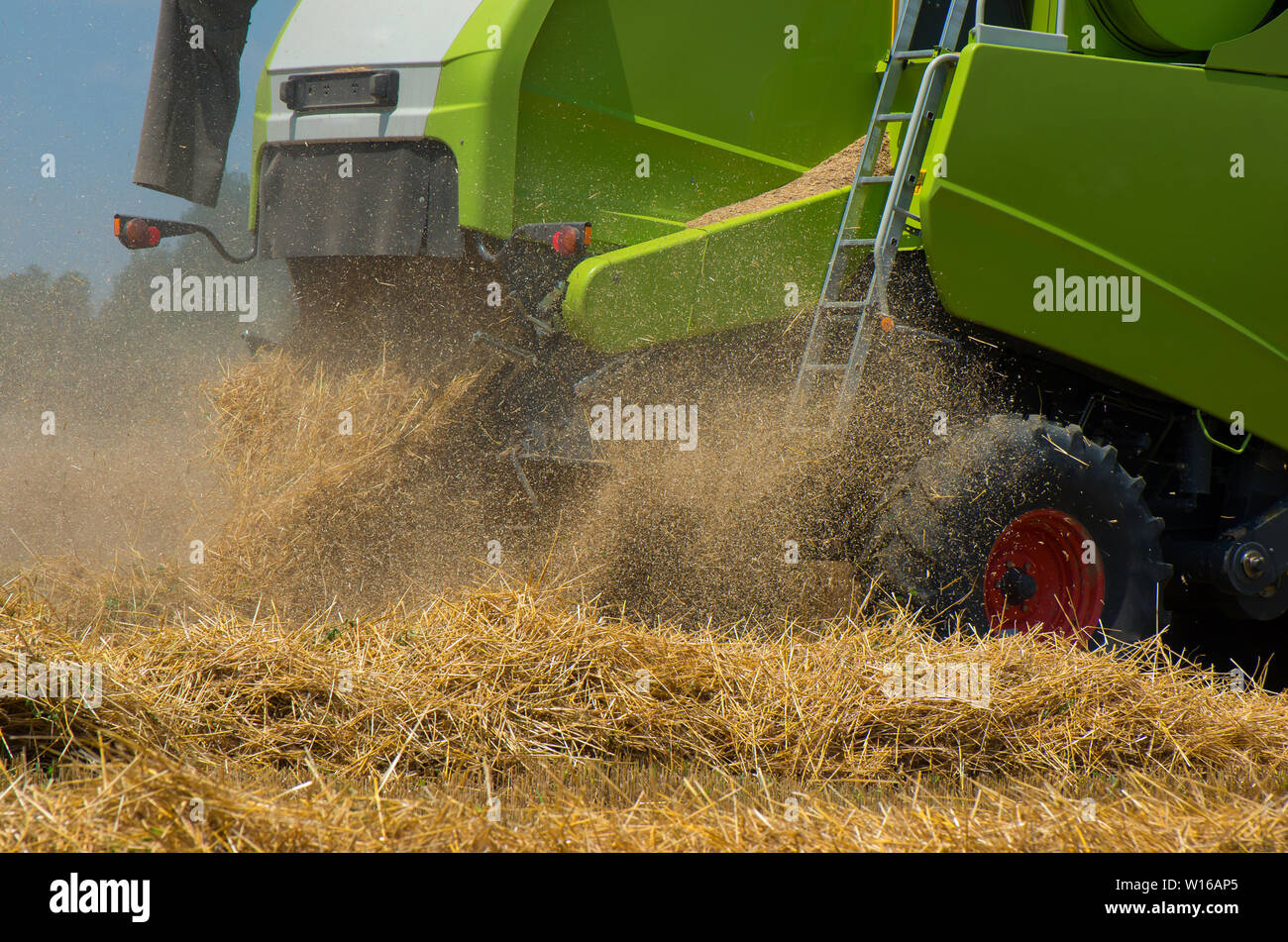 background reaper harvesting a wheat field Stock Photo