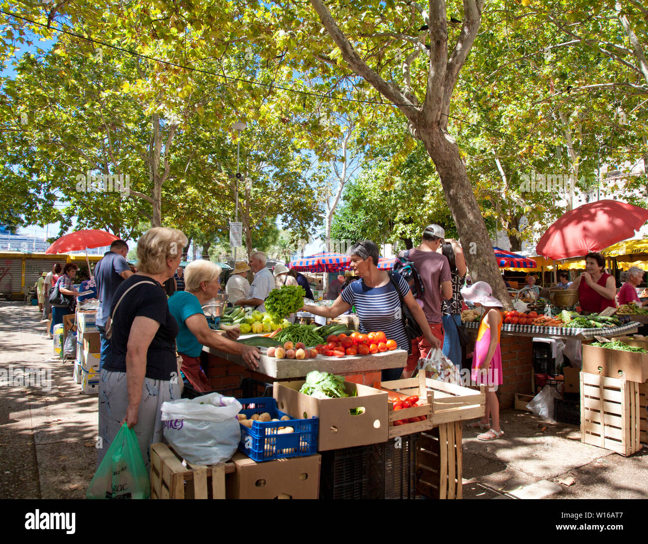 Women shopping for fresh produce on a sunny Saturday at the public flower and produce market next to Diocletian's Palace, Split, Croatia. Stock Photo