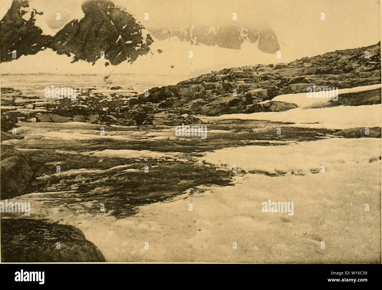 Archive image from page 250 of Deuxième expédition antarctique francaise (1908-1910). DeuxiÃ¨me expÃdition antarctique francaise (1908-1910) . deuximeexpdifa1912fran Year: 1912  I-'IU. III. - Neie veile Ã l:i surlaee de l'd,' l'ele, Stock Photo