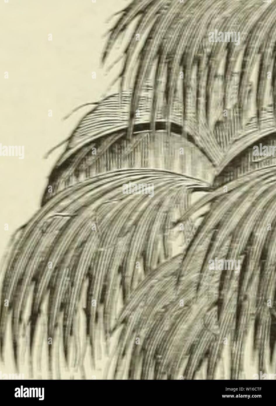 Unter Dem Auge High Resolution Stock Photography And Images Alamy