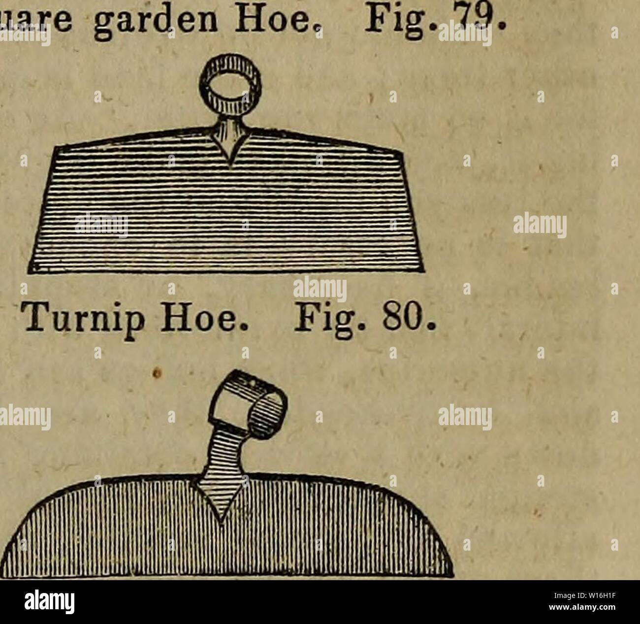 A dictionary of modern gardening. Gardening. HOE 293 HOE These have all handles varying in length from eight inches and a half to eighteen inches all the neck or upper part