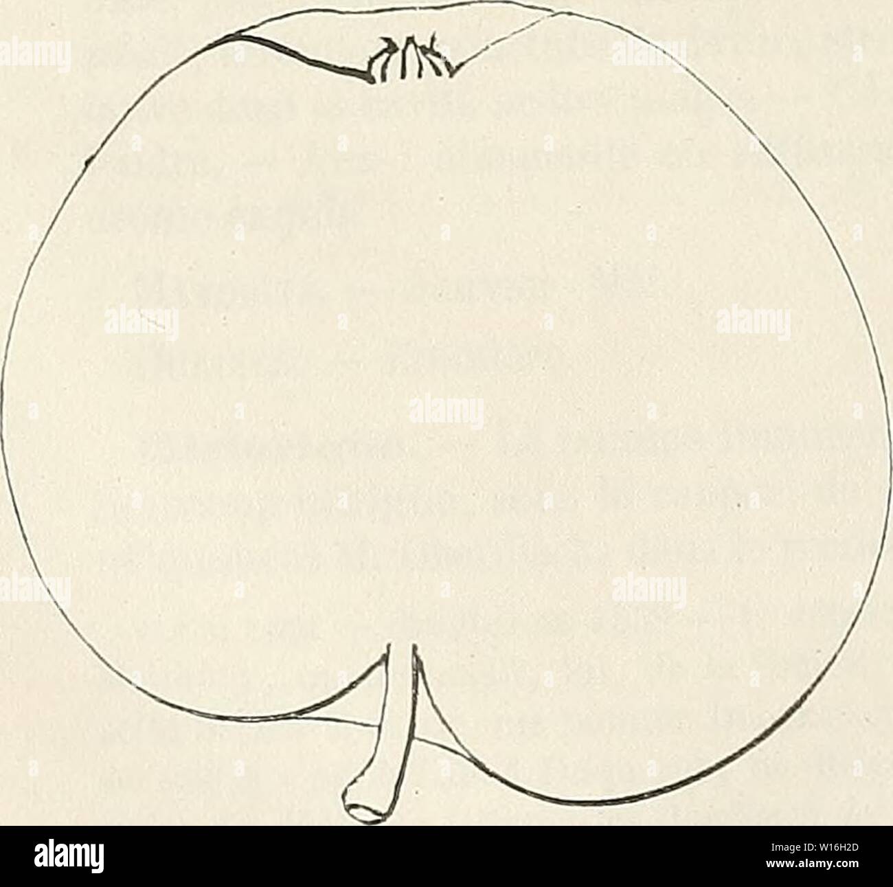 la fraise high resolution stock photography and images alamy