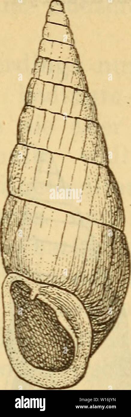 Gl V High Resolution Stock Photography And Images Alamy