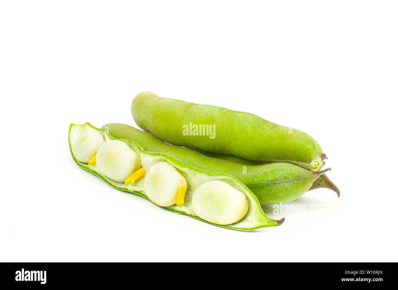 Lima bean Cut Out Stock Images & Pictures Alamy