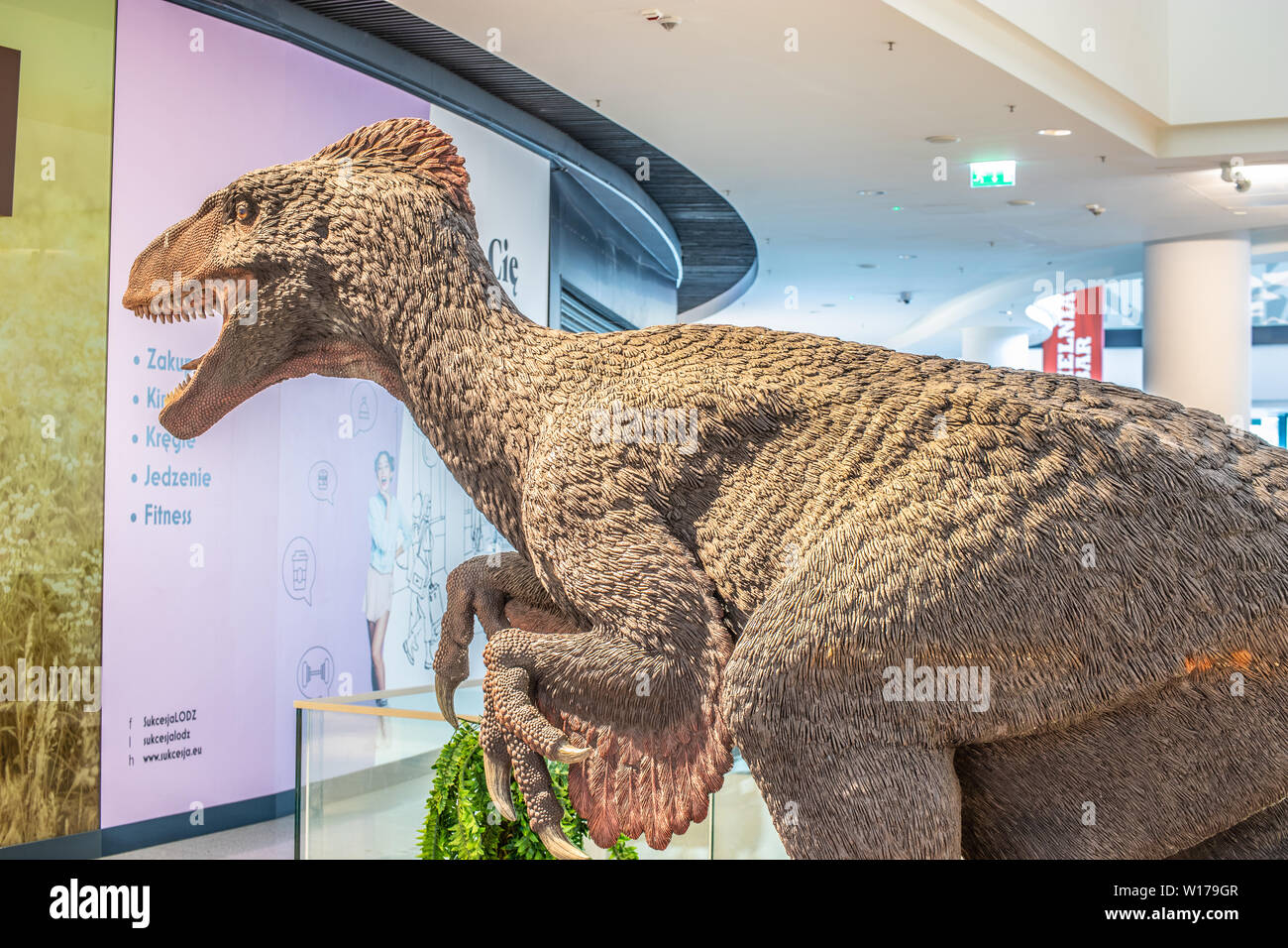 Utahraptor Ostrommaysi High Resolution Stock Photography and Images - Alamy