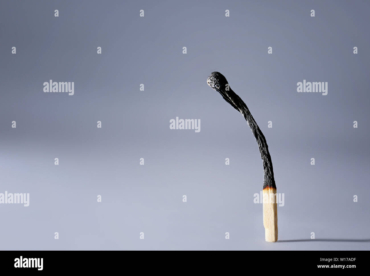 Burnt out match on grey background Stock Photo