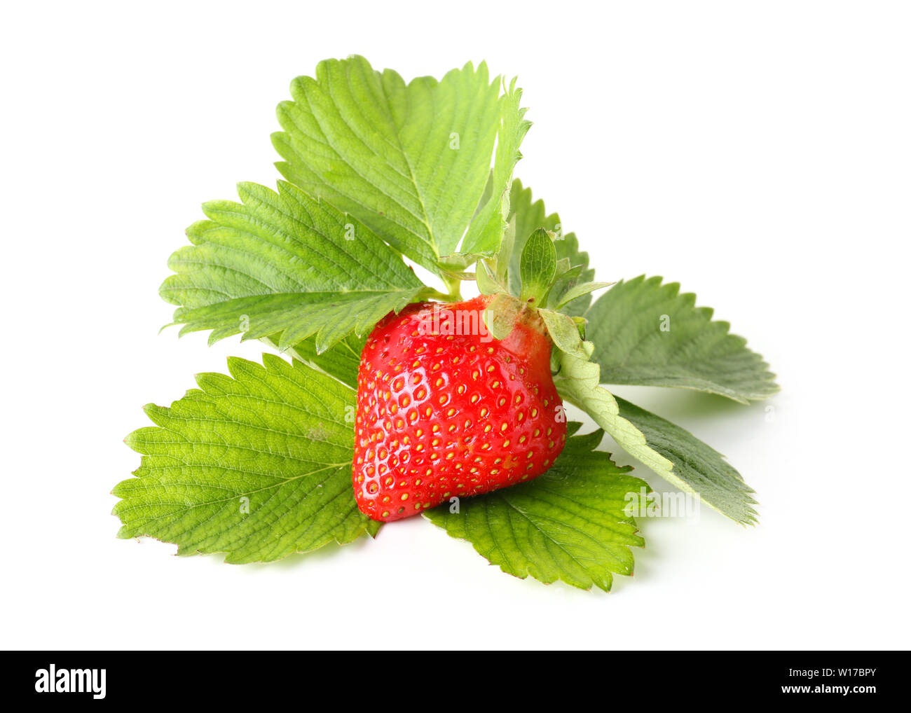 Ripe red strawberry and leaves on white background Stock Photo - Alamy