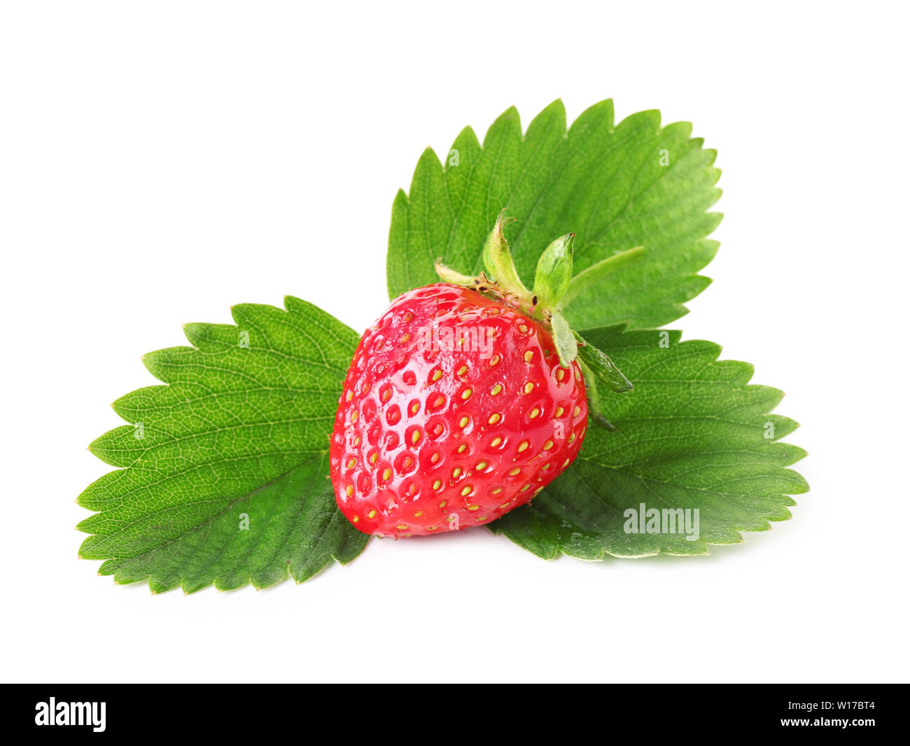 Ripe red strawberry and leaves on white background Stock Photo - Alamy