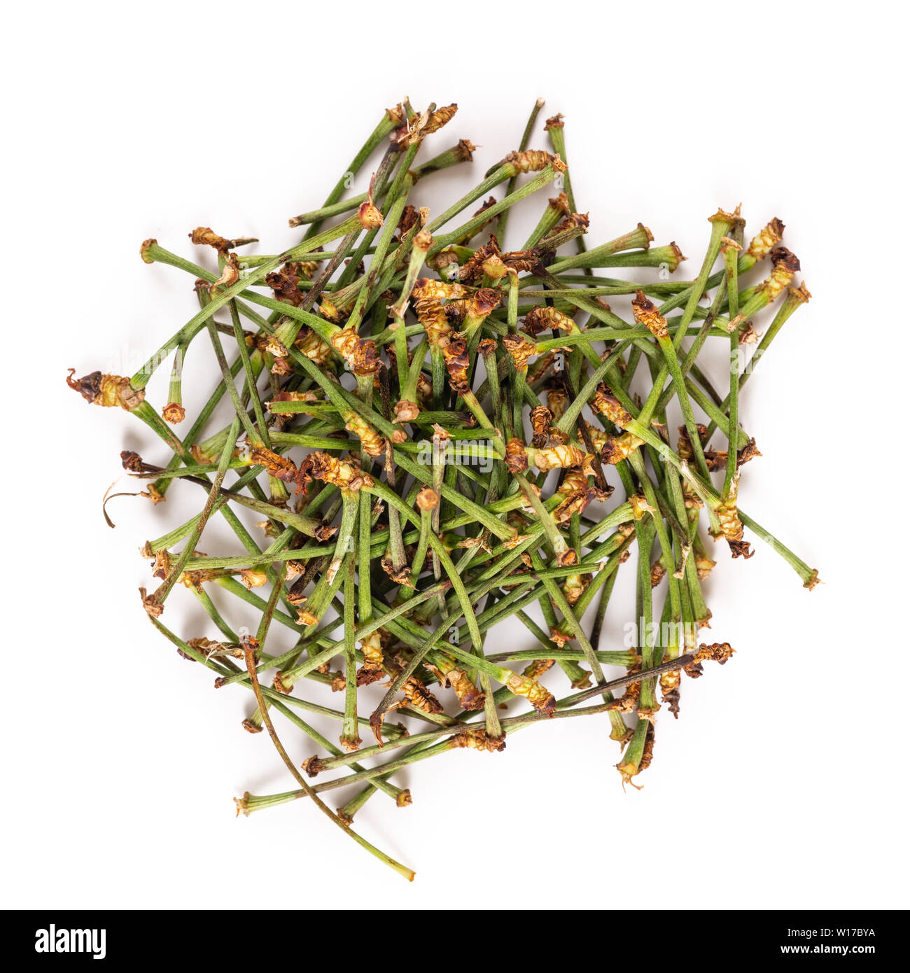 Dried cherry stems used for tea in alternative medicine isolated on