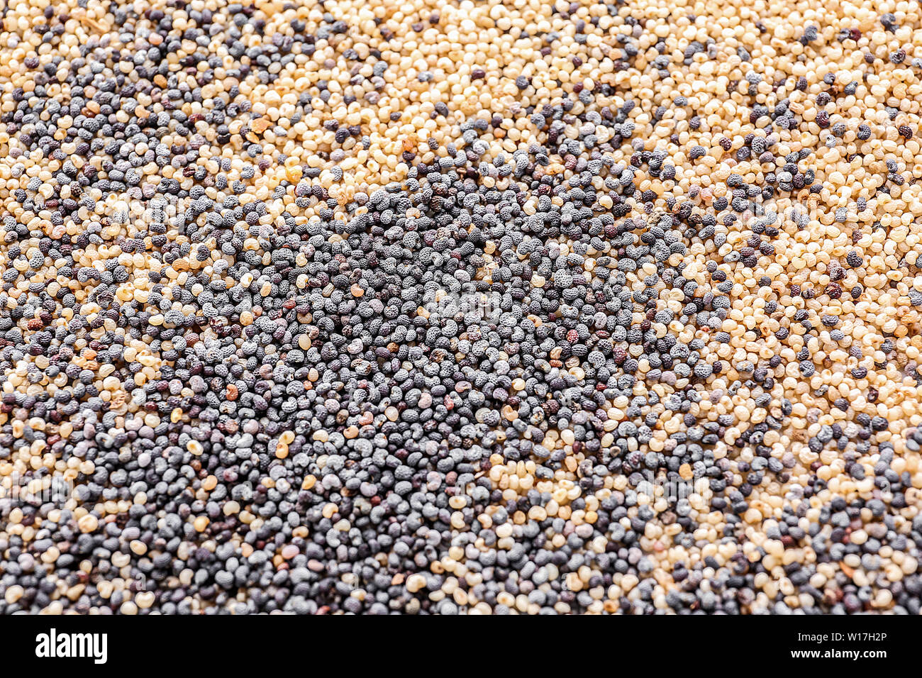 Many black and white poppy seeds as background Stock Photo Alamy