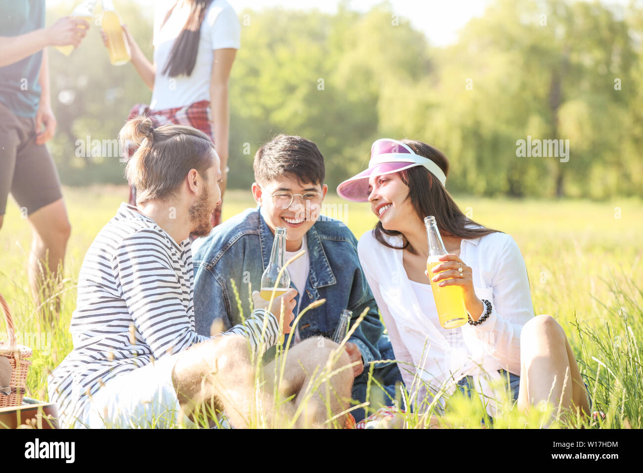 Friends hanging out, enjoying picnic - Stock Image - F020/2364 - Science  Photo Library