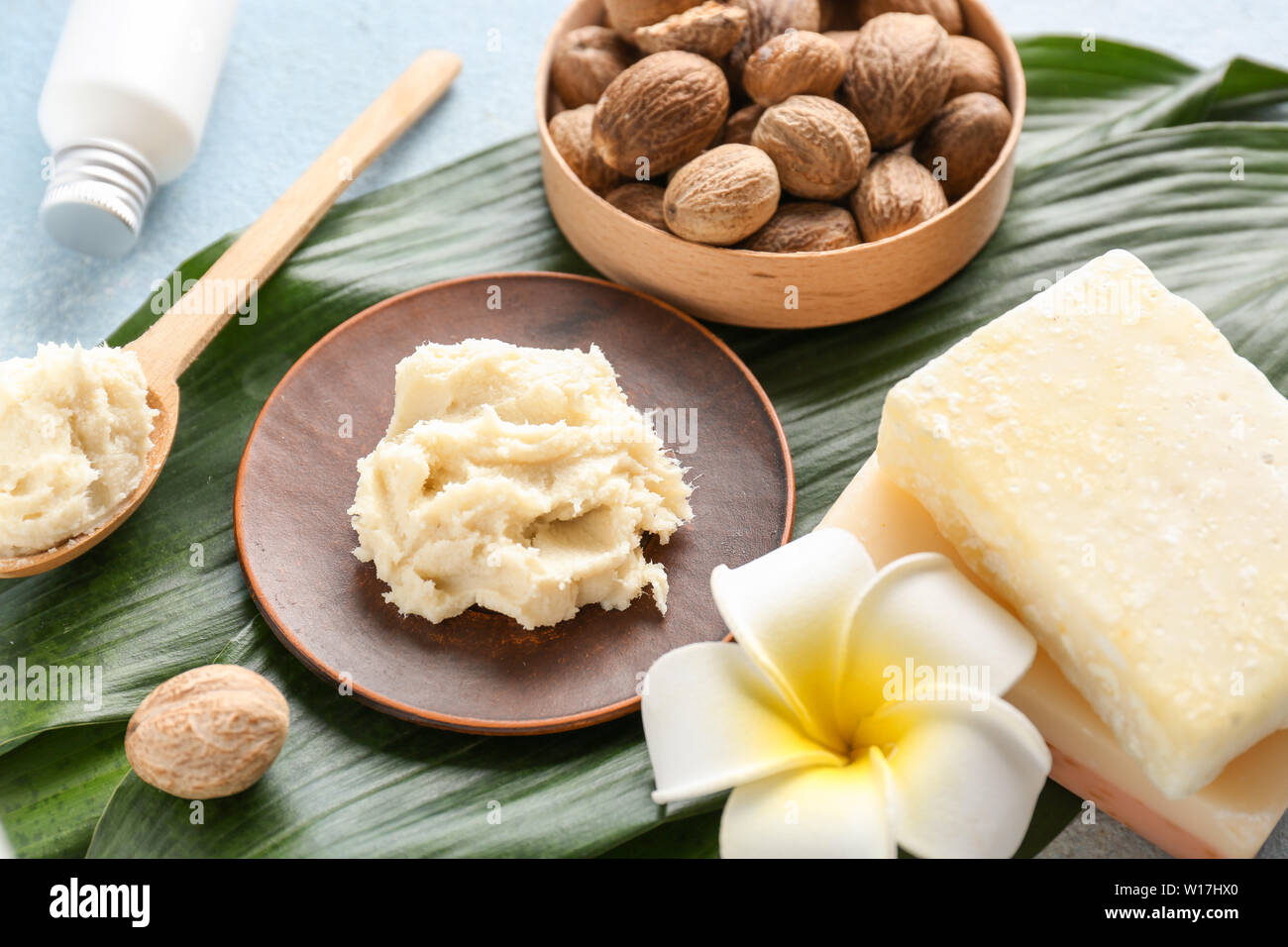 Shea Plate Shea tree hi-res stock photography and images - Alamy