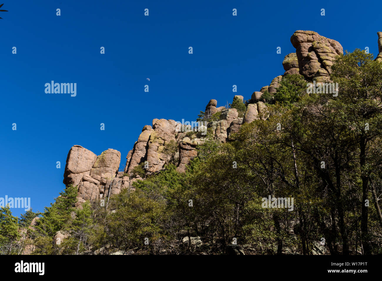 Organ pipe rocks hi-res stock photography and images - Alamy