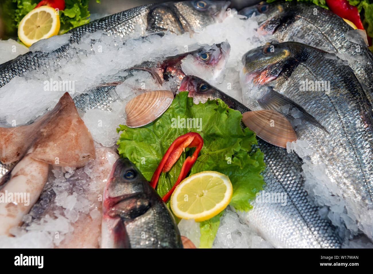 Frozen fish and seafood on ice in market Stock Photo Alamy