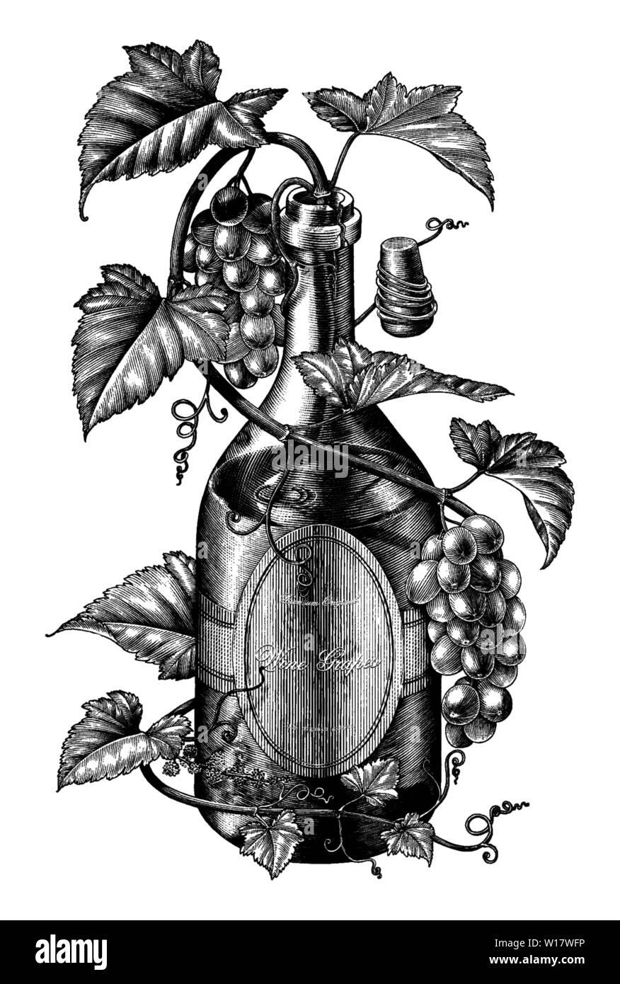 Grapes twing in wine bottle illustration black and white clip art,The concept of wine grapes banding Stock Vector