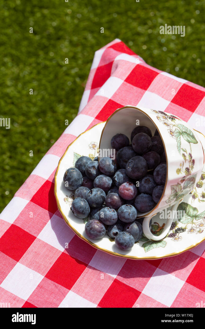 Blueberries in a cup and saucer, on a gingham tablecloth, outdoors with grass lawn background Stock Photo