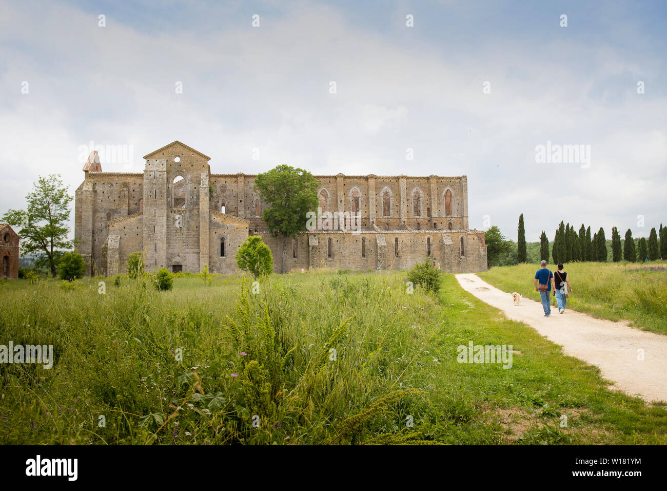 View of san galgano abbey from outside with two people walking towards the abbey. People are not recognizable.Tuscany, Italy. Stock Photo