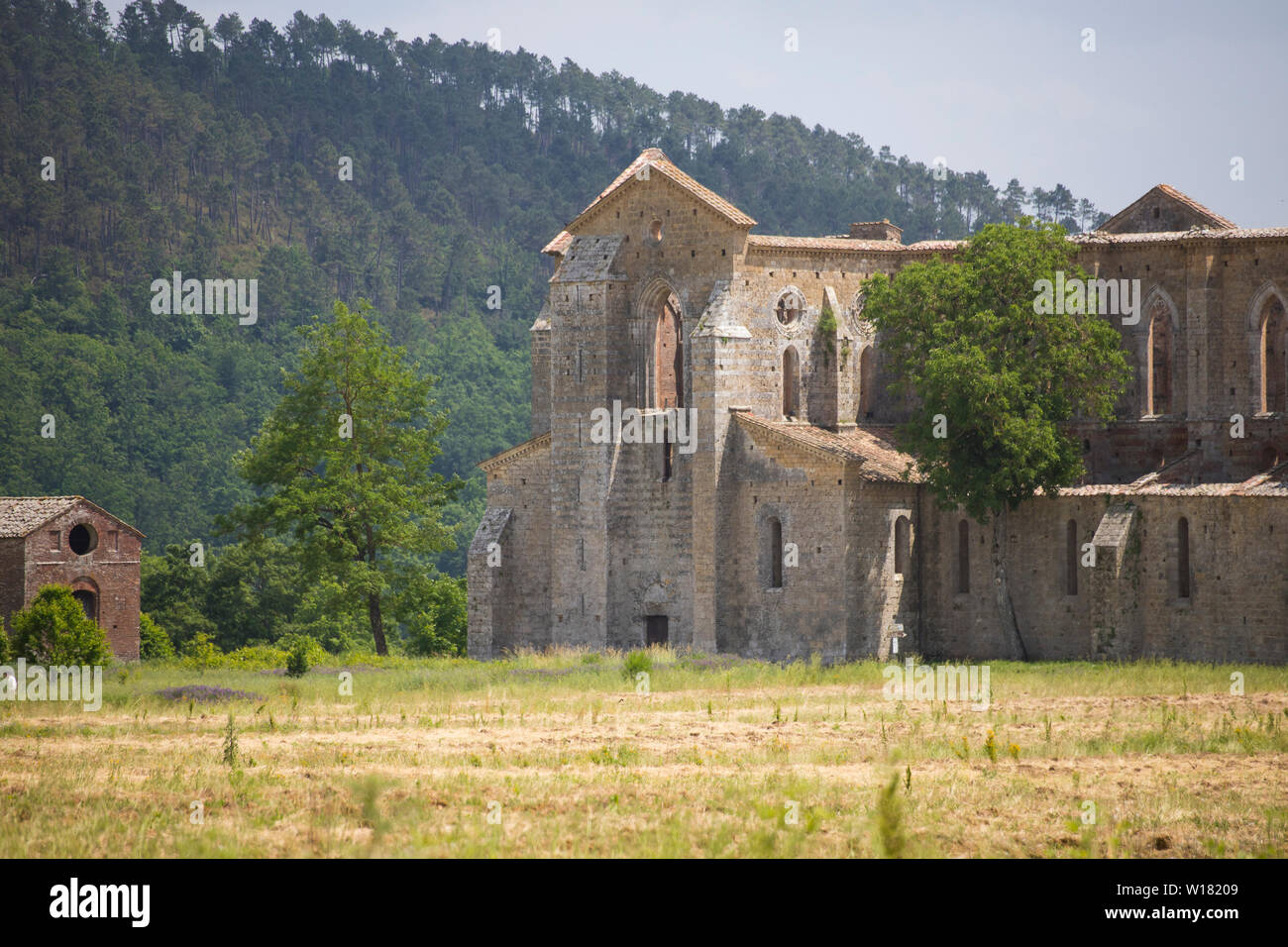 View of the side front of san galgano abbey in a summer day. Chiusdino, Tuscany, Italy. Stock Photo