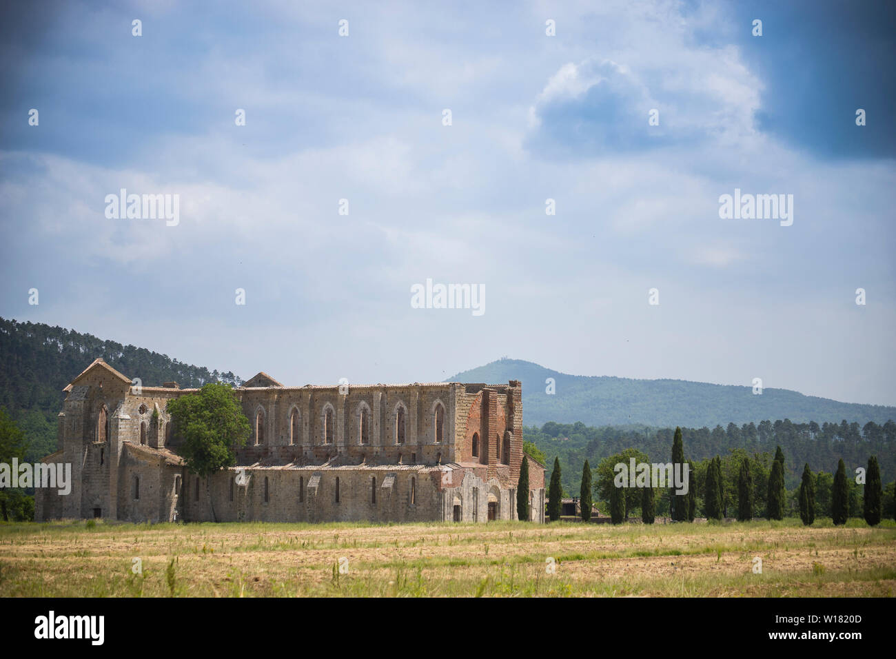 Distant landscape view of san galgano abbey under a moody summer  sky with cypresses on its side. Chiusdino, Tuscany, Italy. Stock Photo