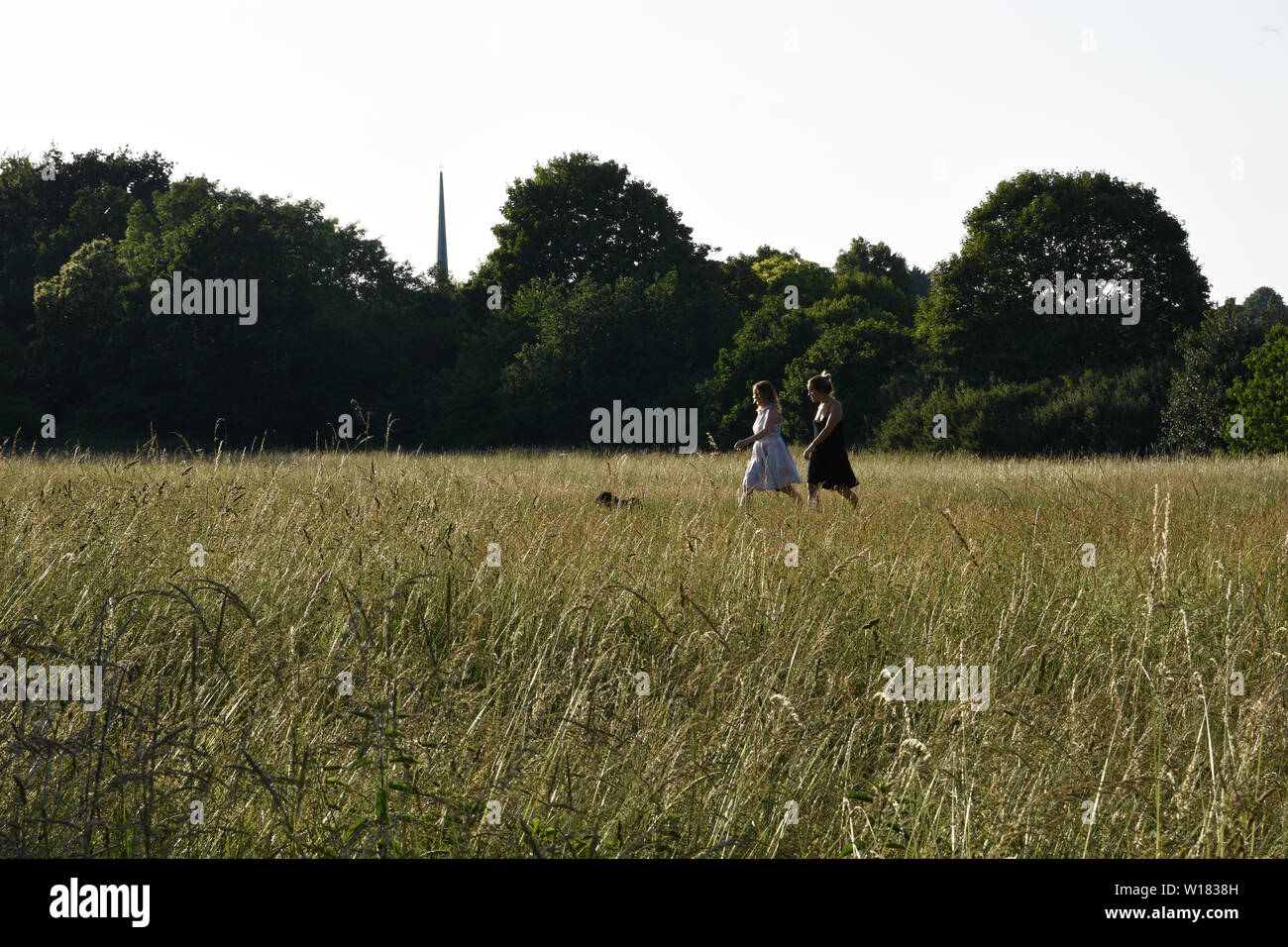 Two women walking dog hi-res stock photography and images - Alamy