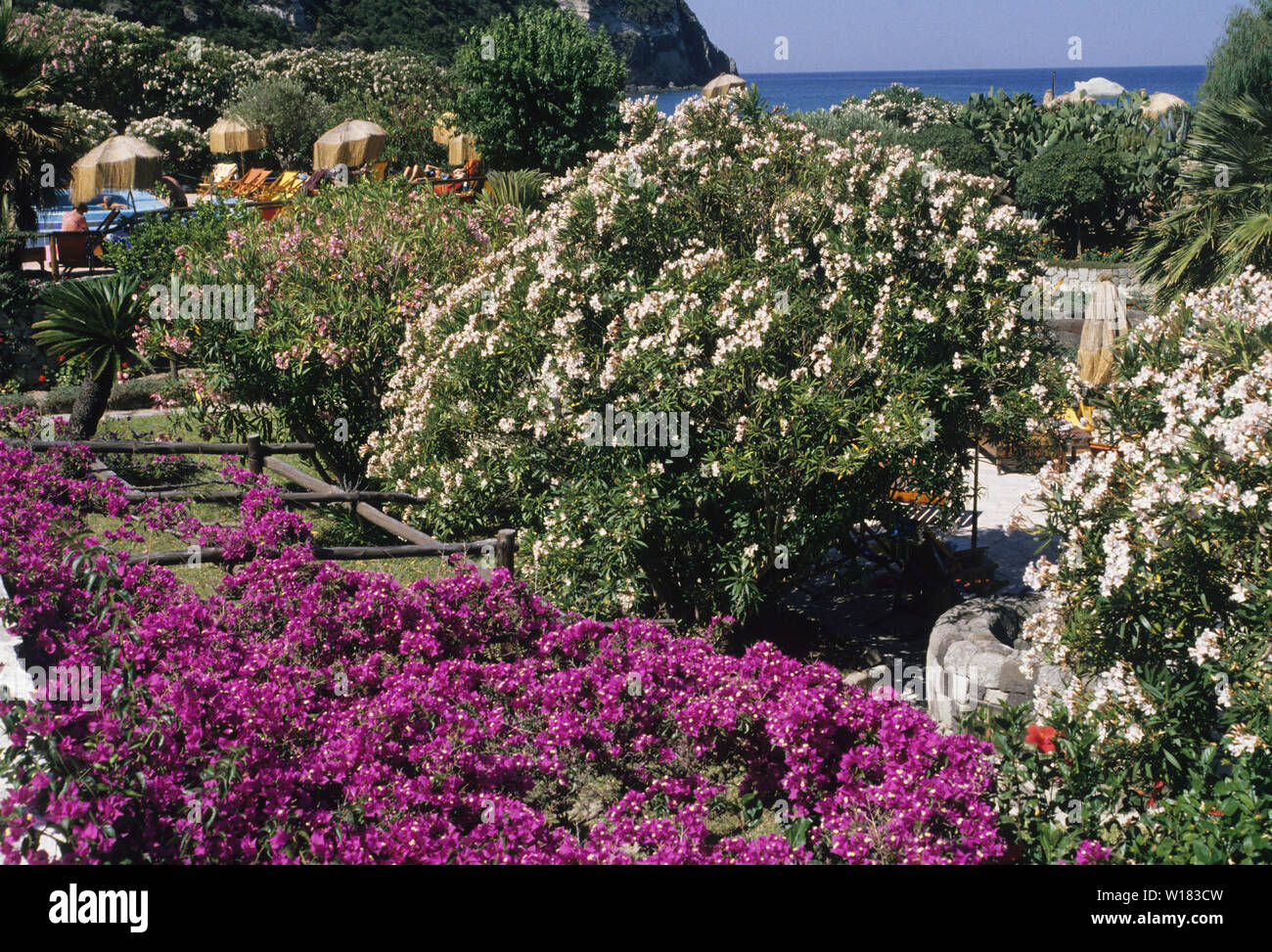 giardini poseidon (poseidon gardens spa), ischia island, gulf of naples
