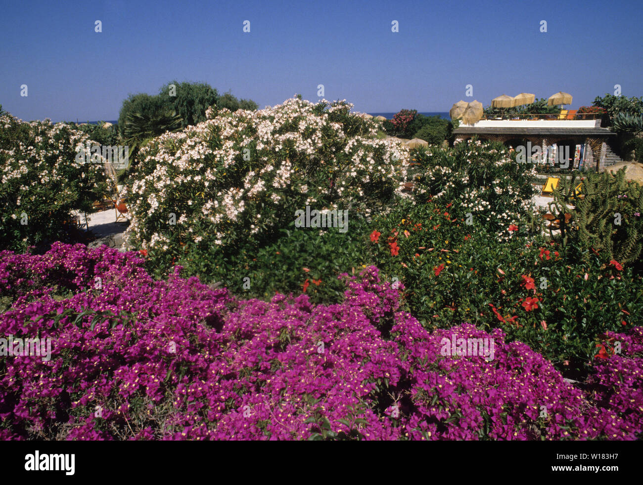 giardini poseidon (poseidon gardens spa), ischia island, gulf of naples