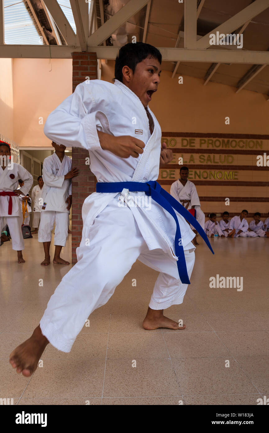 Okinawan Gojo Ryu Karate in Penonome, Cocle province, Republic of Panama.  The karate school was led by Sensei Carlos Martinez, who passed away in  February, 2017. The school was a part of