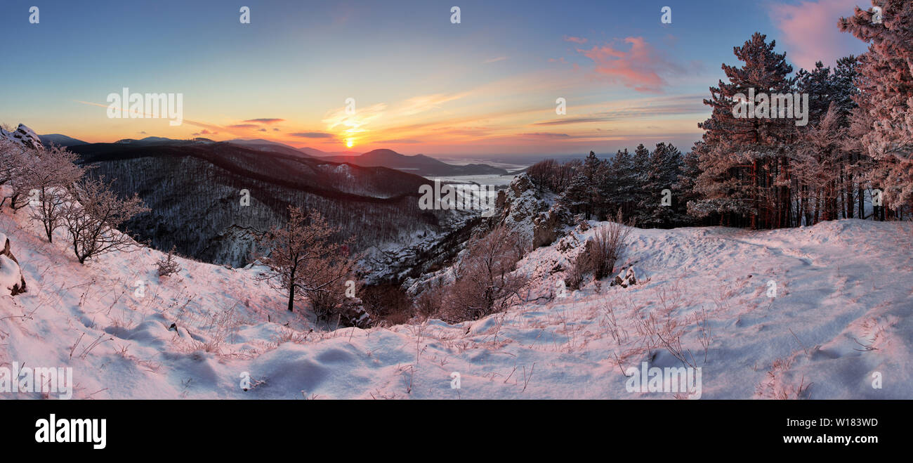 Forest mountain landscape at winter Stock Photo