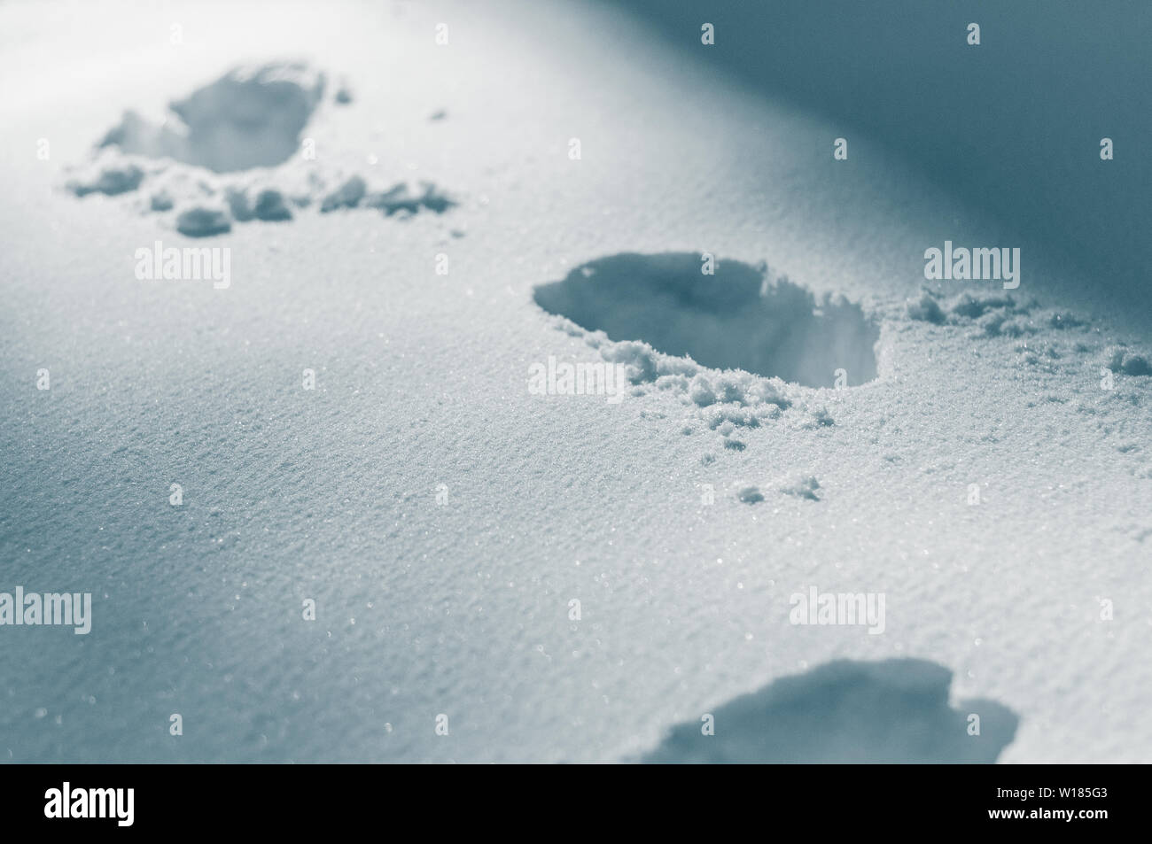 Footprints in snow Stock Photo Alamy