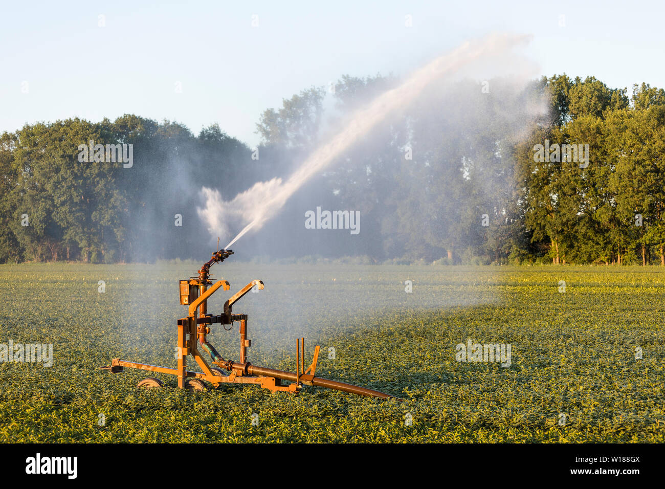 Water being sprayed at a field because of drought in summer, agriculture in Europe Stock Photo