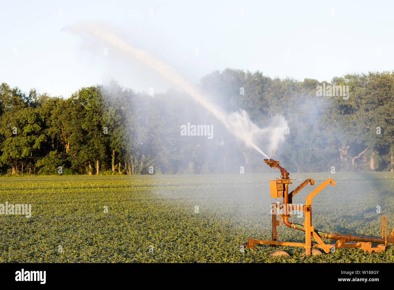 Field Getting Sprayed Drought in agriculture hi-res stock photography and images - Alamy