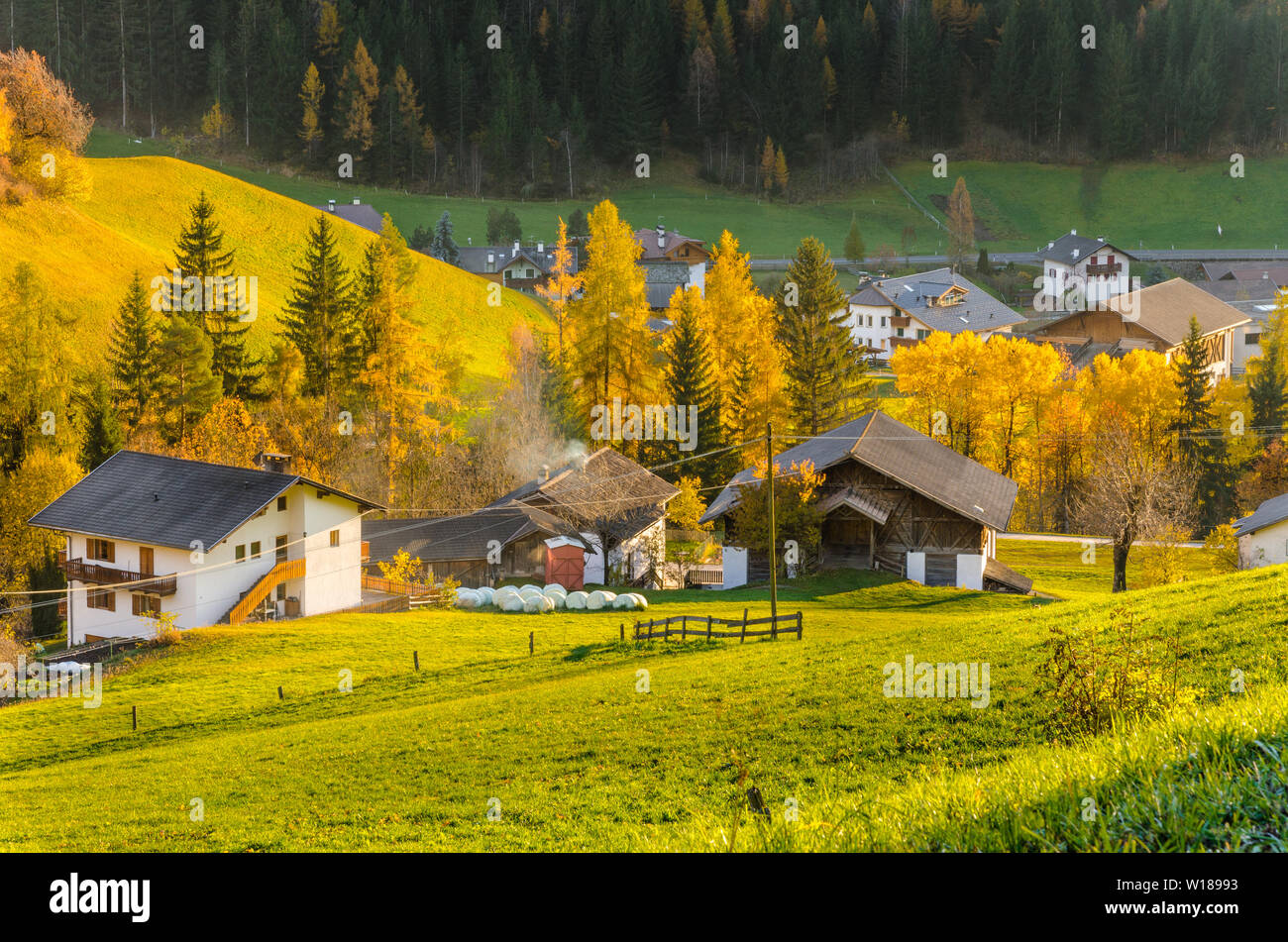 Grassy field and tradtional alpine farm buildings at sunset in autumn Stock Photo Alamy