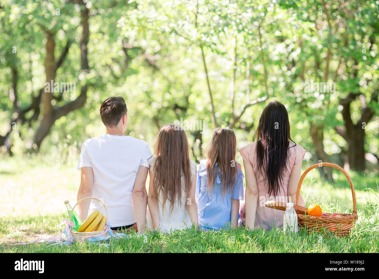 Happy family on a picnic in the park on a sunny day Stock Photo - Alamy
