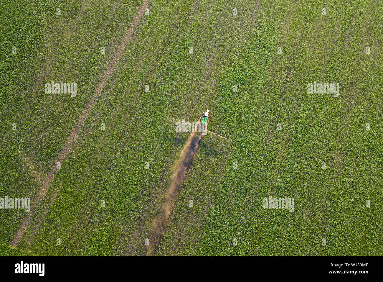 Aerial view of a farm tractor in a green field during spraying and ...