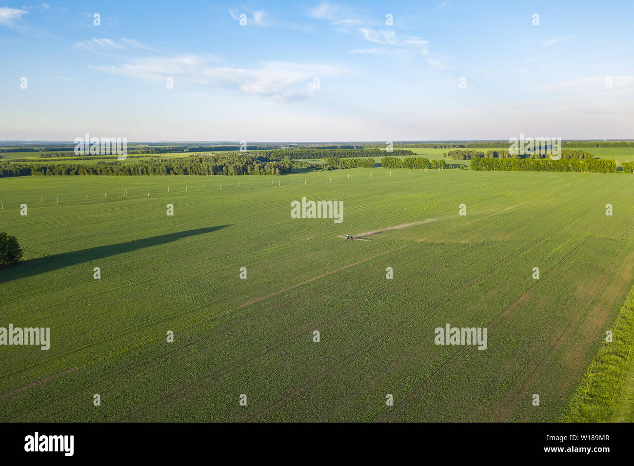 Aerial view of a farm tractor in a green field during spraying and ...