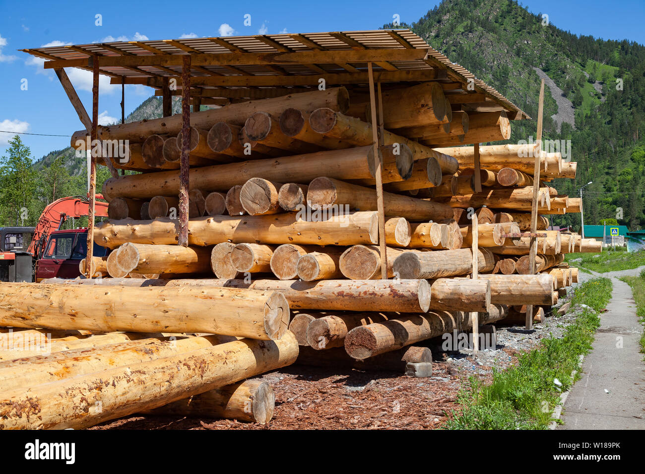 Large Sawn Round Pine Trees Are Laid In A Pile For Preparation Of
