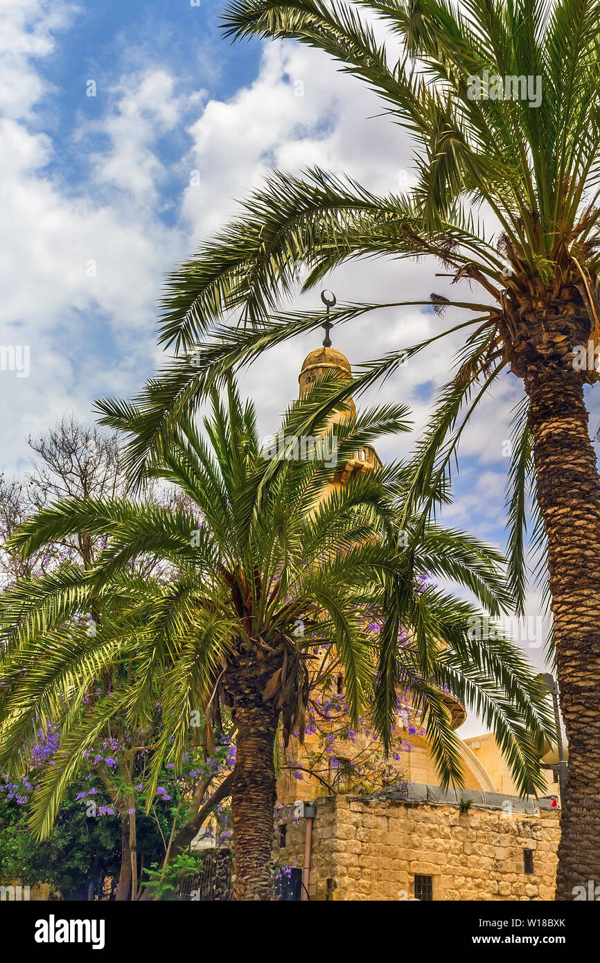 Street in Izrael in the ancient part of Jerusalem with palm trees on the background of a mosque Stock Photo