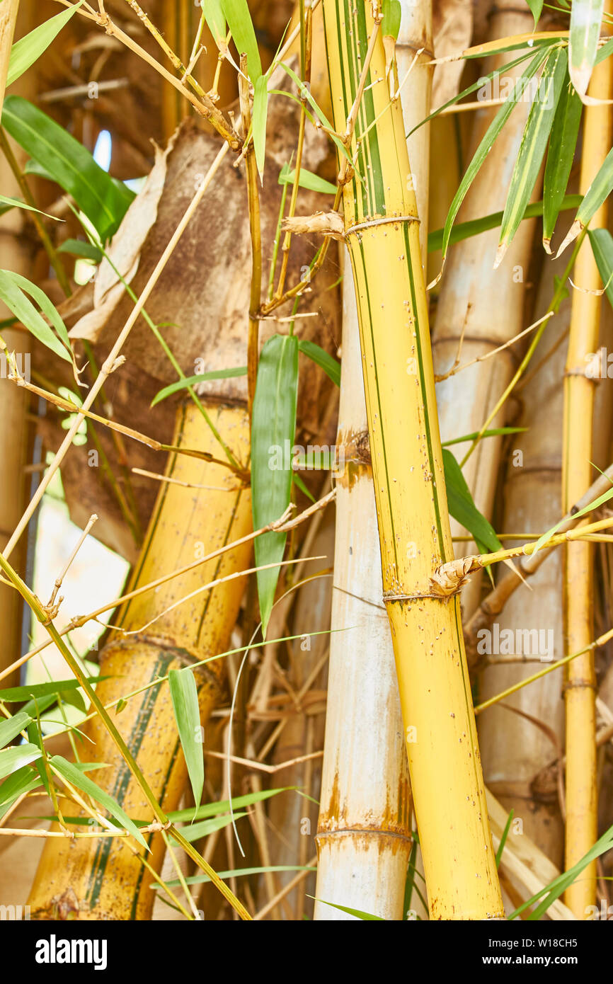 High specific tensile strength hires stock photography and images Alamy