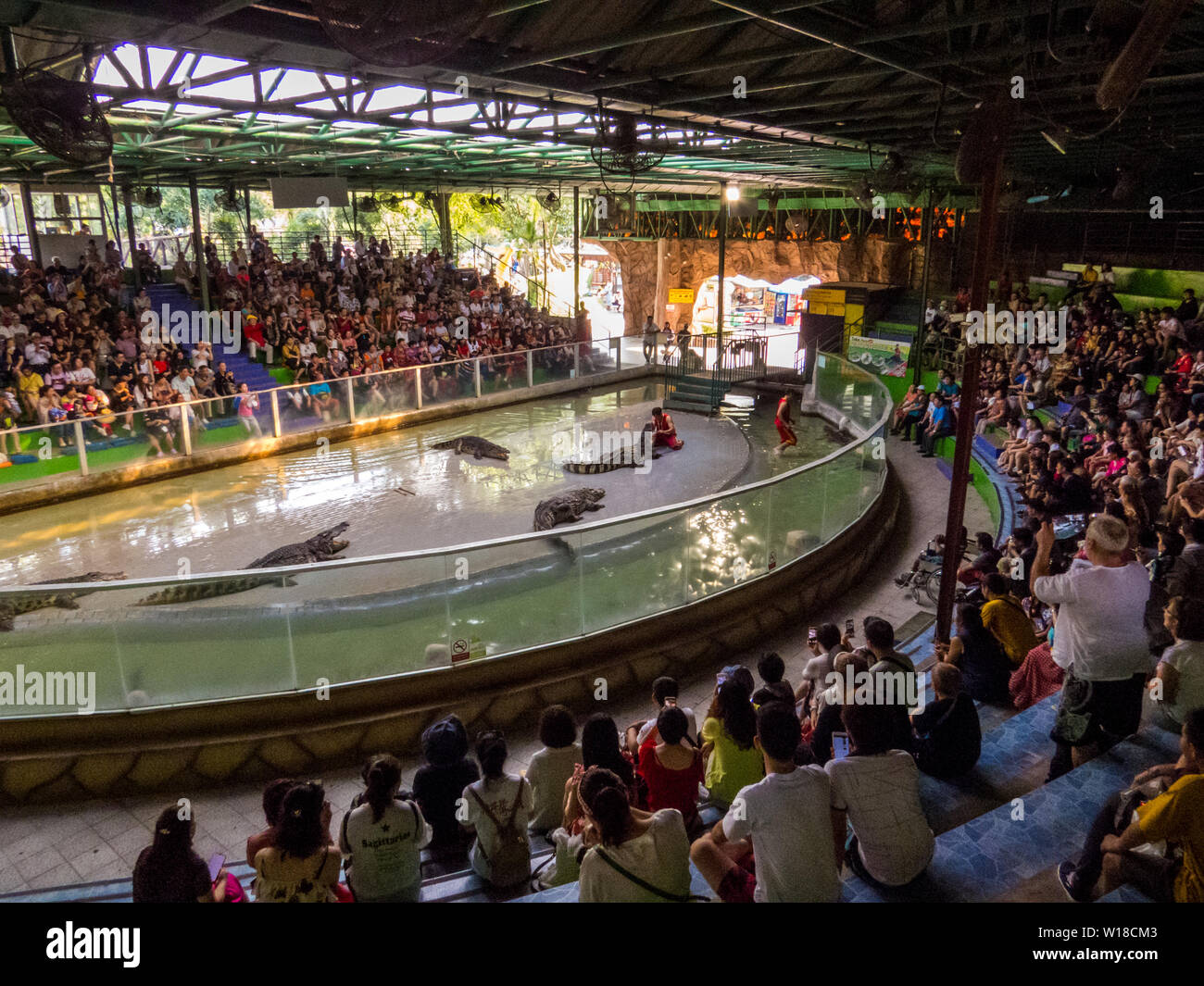 Crocodile Show in Sriracha Tiger Zoo, Pattaya, Thailand Stock Photo - Alamy