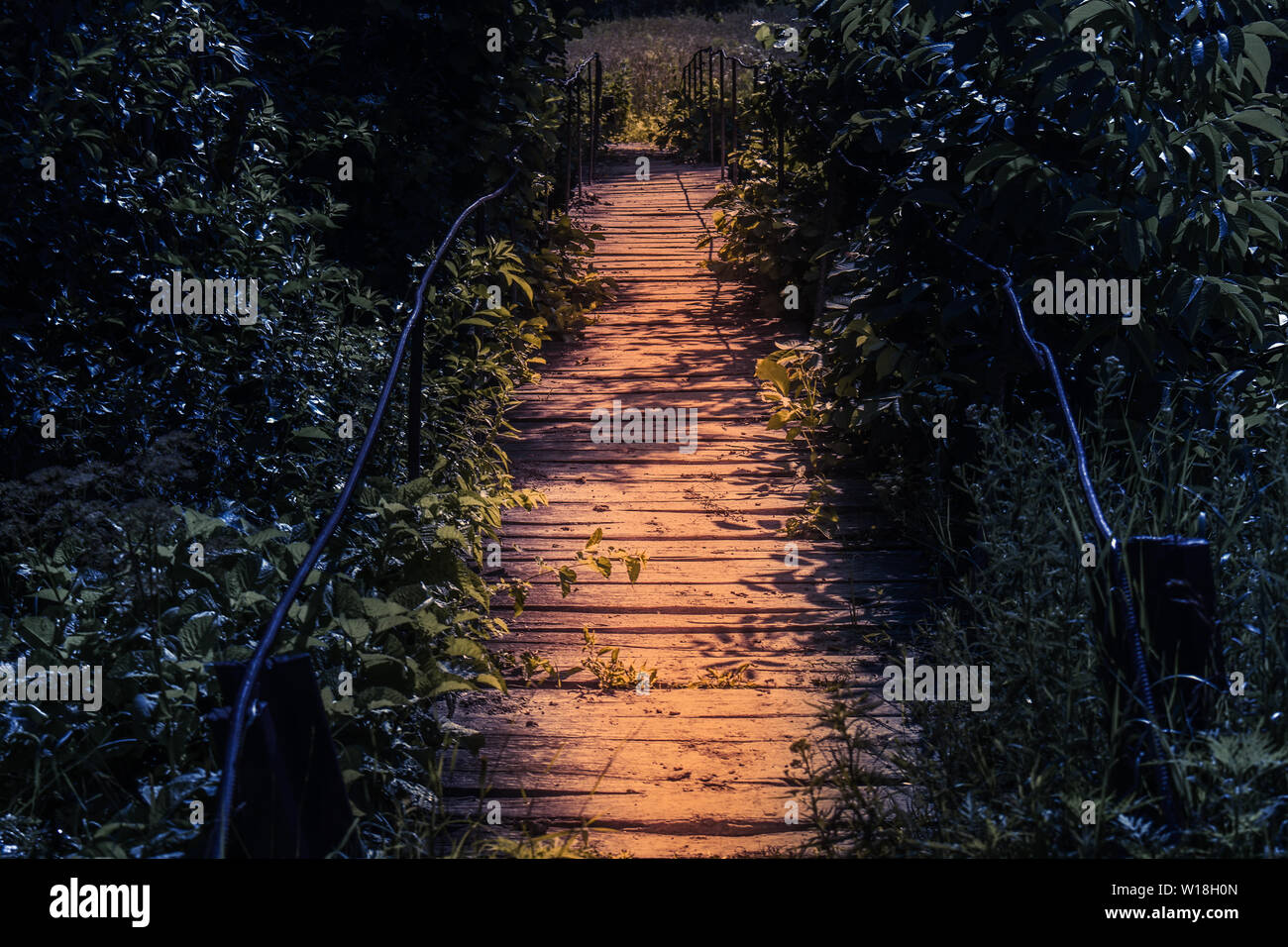 Wooden highlight footbridge at night in a fairy tale atmosphere. Pathway in the dark spooky forest in the moonlight. Stock Photo