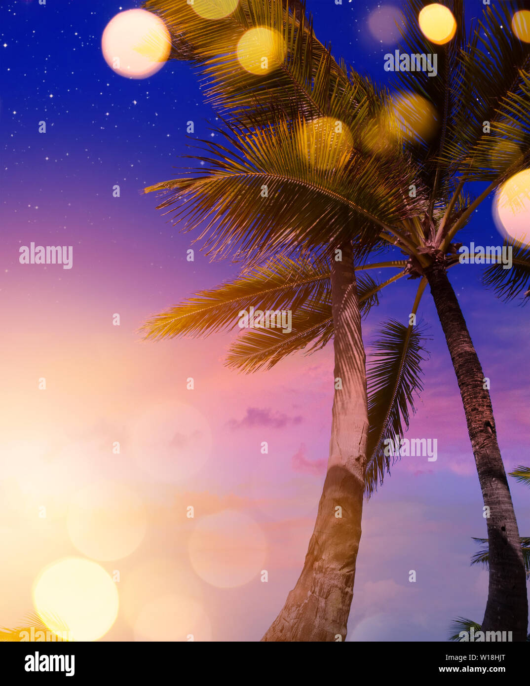 Tropical Summer Beach Night Party Background Stock Photo Alamy