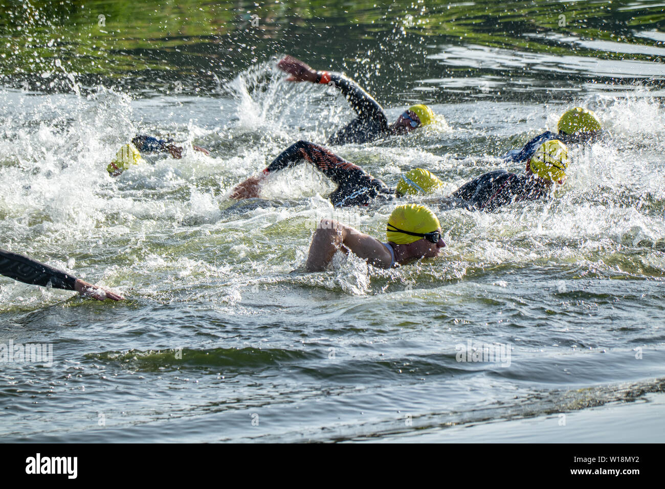 Leeds Castle triathlon 2019 swim start Stock Photo Alamy