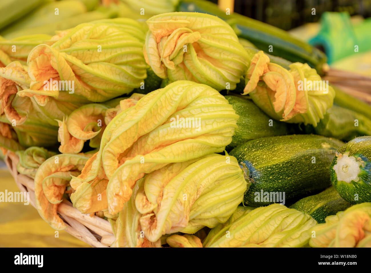 Fresh zucchini flower or courgettes in a farmer agricultural open air