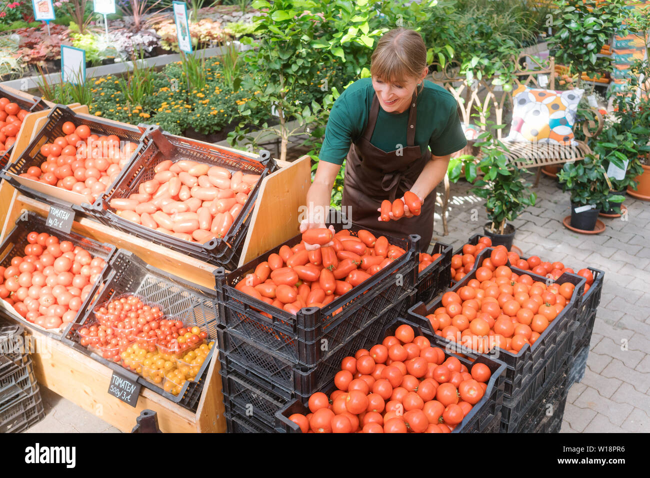 Gardener selling tomatoes and vegetables Stock Photo