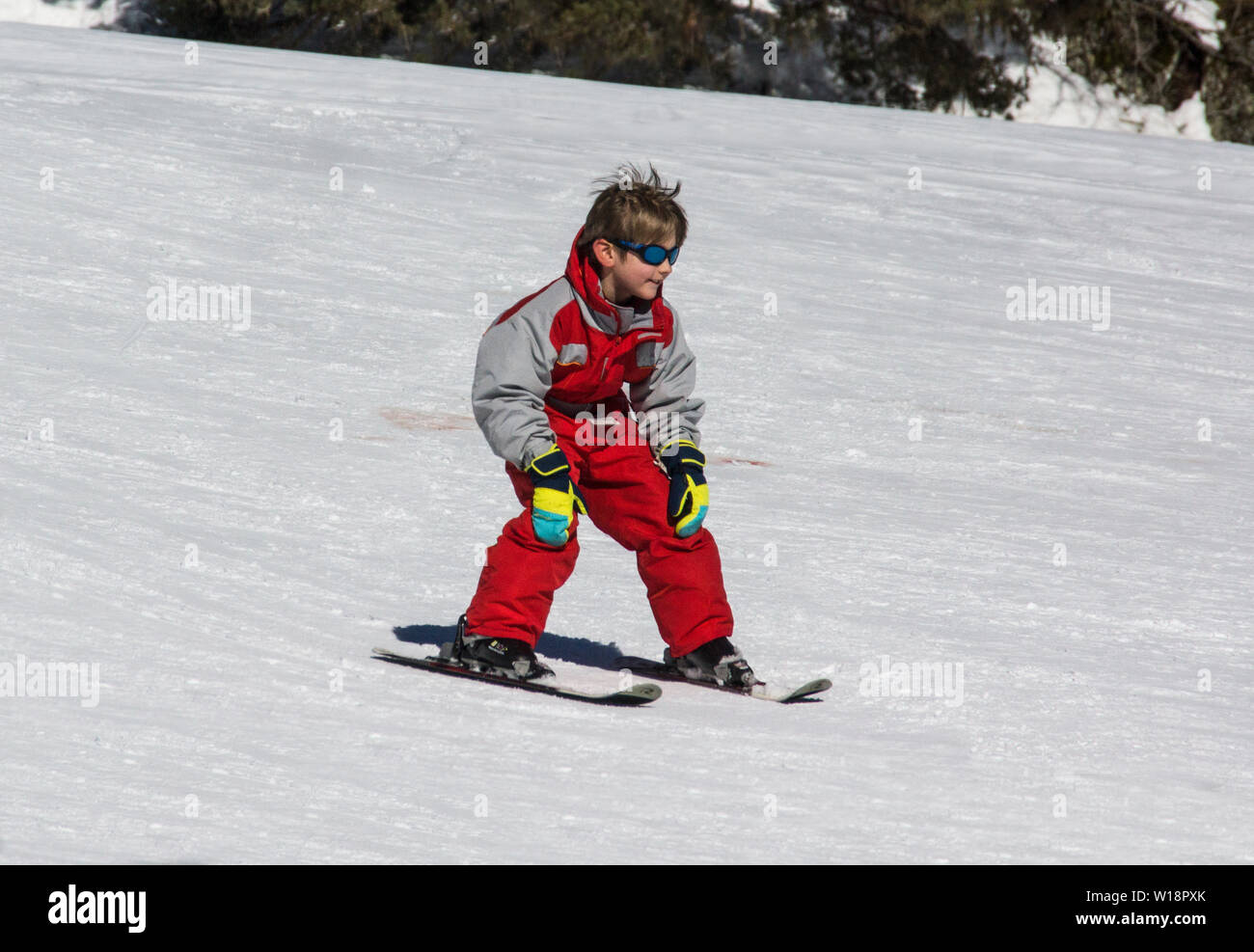 The central Pyrenees at Pont Espagne. Young boy learning to ski on the beginners slope.No sticks. Stock Photo